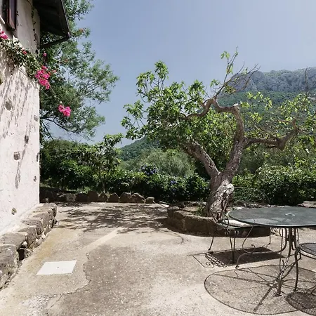 Bosco Littu * Dorgali